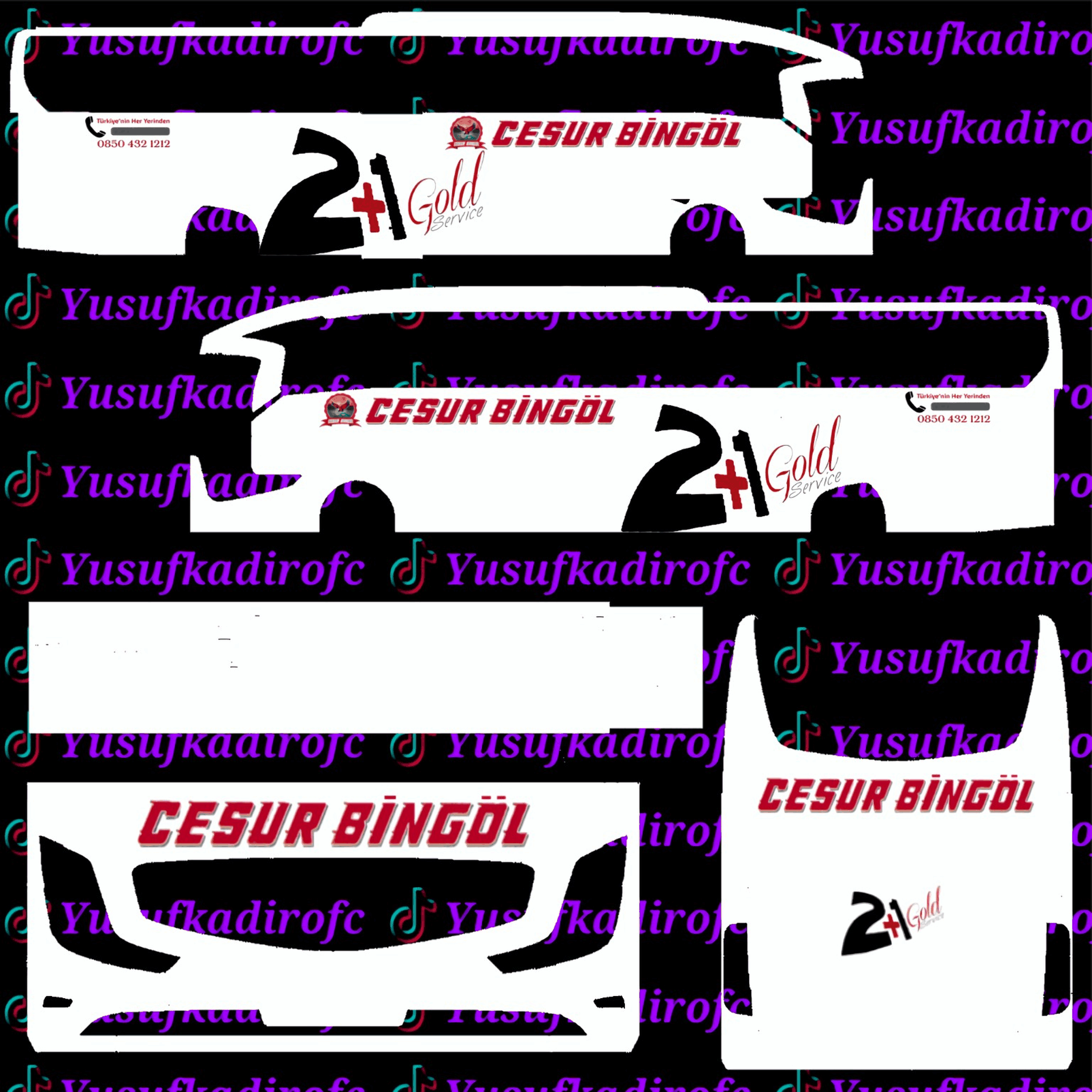 Cesur bingöl